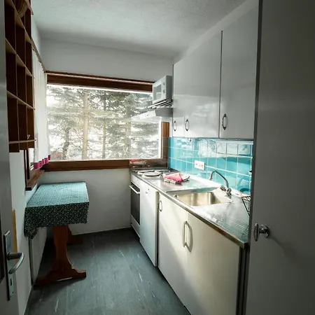 Chesa San Gian - Terrace On Garden شقة *